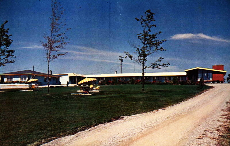 Arbor Motel - Vintage Postcard